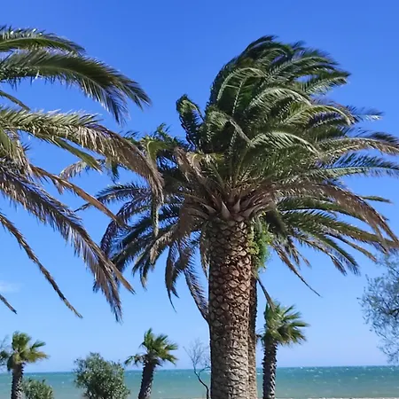 4-6 Personnes Avec Piscine Demeure De La Massane * Argelès-sur-Mer